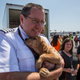 Illustration for article titled 64 Lucky Shelter Animals Got Flown Out Of Texas After Hurricane Harvey
